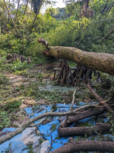 PXL_20240831_001016932