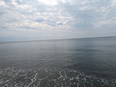 PXL_20240503_055813299