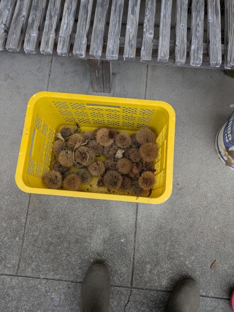 PXL_20251018_003226099