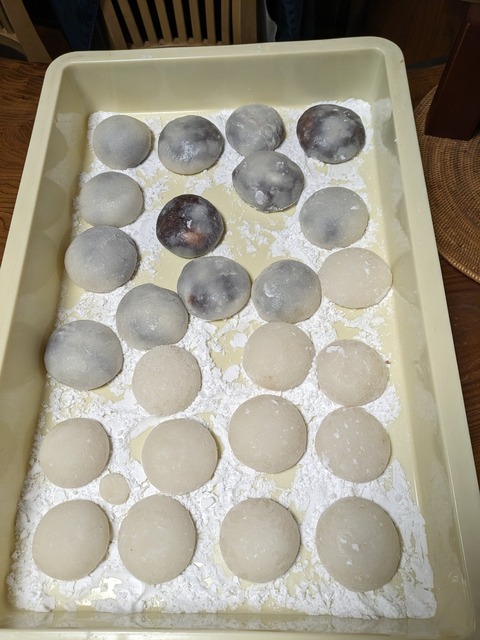 PXL_20231230_013544904