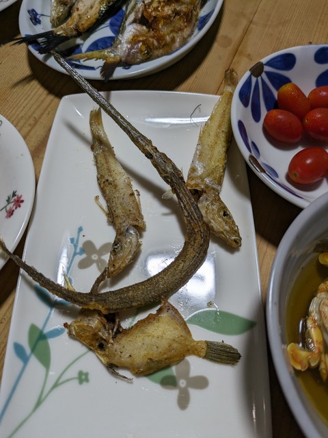 PXL_20230729_105341637