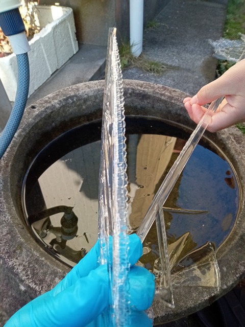 DSC_001_BURST20221225085122619