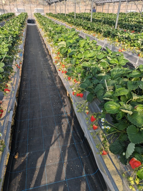 PXL_20240105_054210562