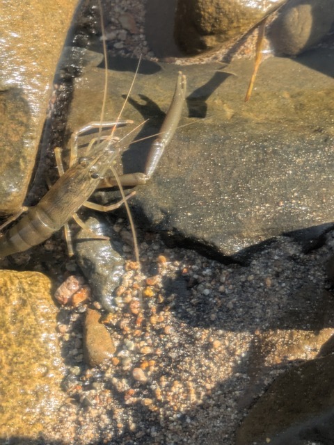 PXL_20250829_231354802