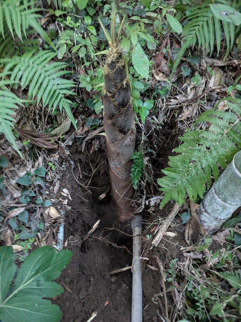 PXL_20260402_093411755