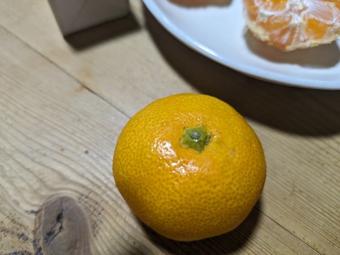 PXL_20230726_123827315