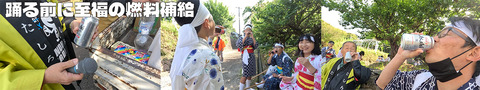 燃料