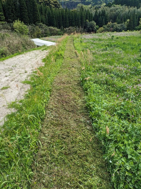 PXL_20240413_054019184