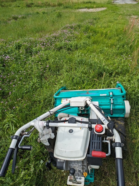 PXL_20240413_054017380