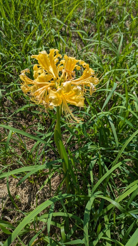 PXL_20230927_041249932