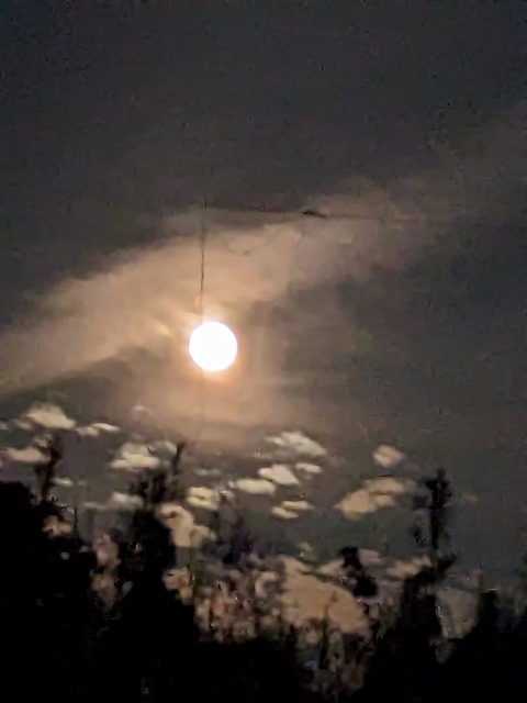 PXL_20230929_101322216