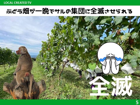 スライド5