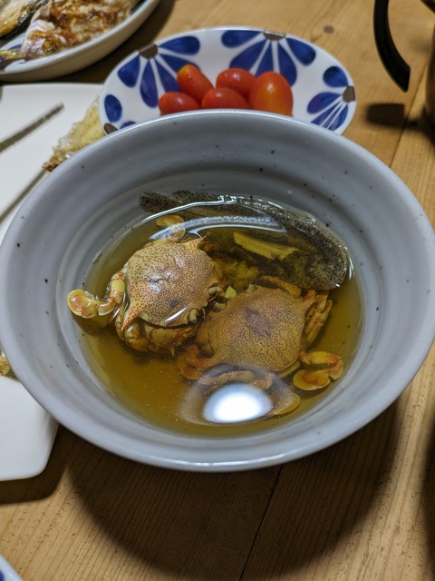 PXL_20230729_105352776