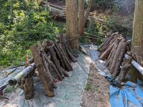 PXL_20240907_011057749