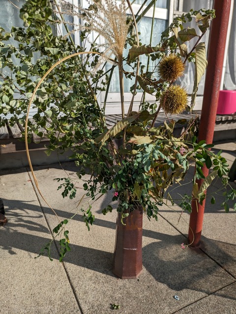 PXL_20230929_232120804