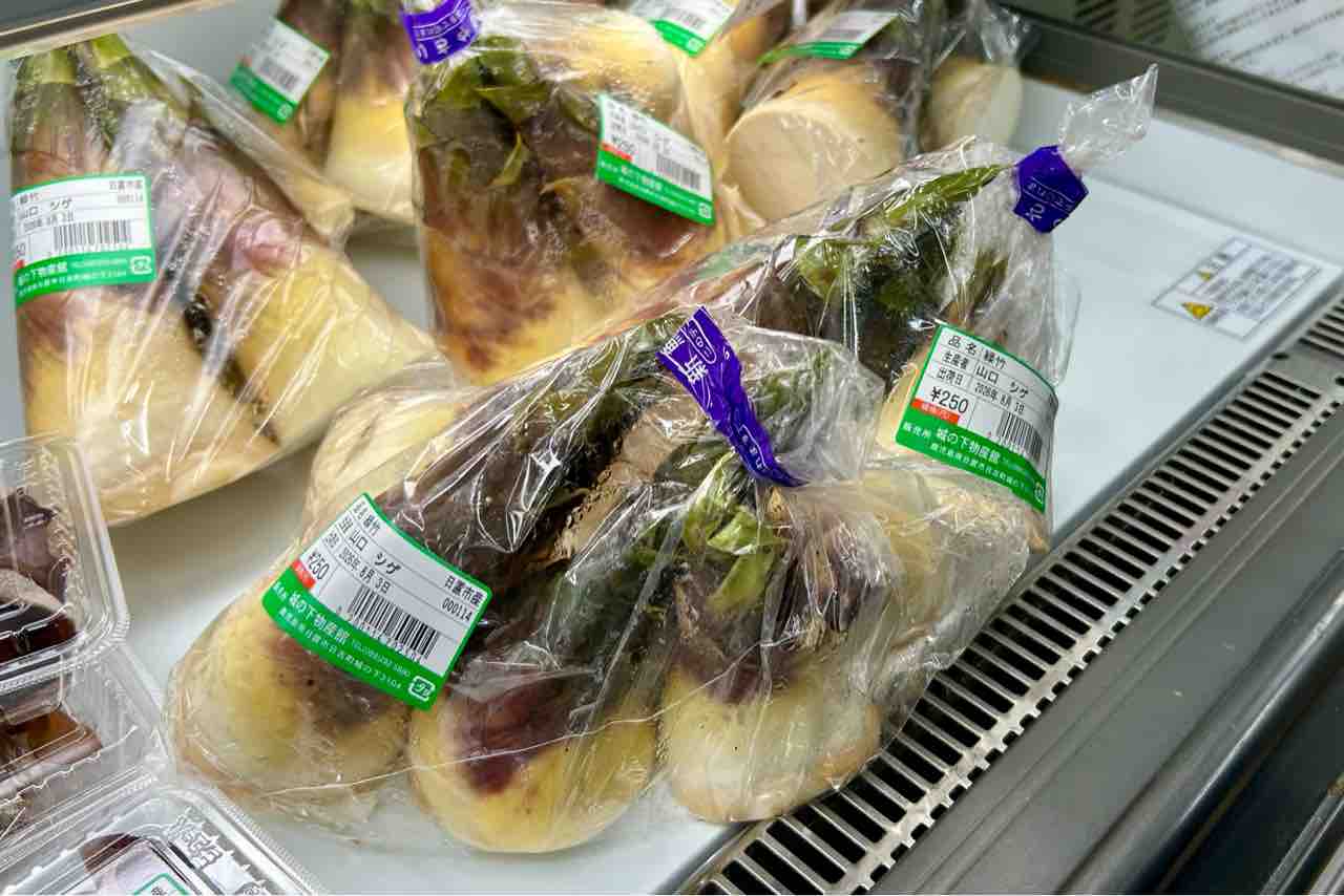 今が旬】タケノコの王様を食らう : ひおきと