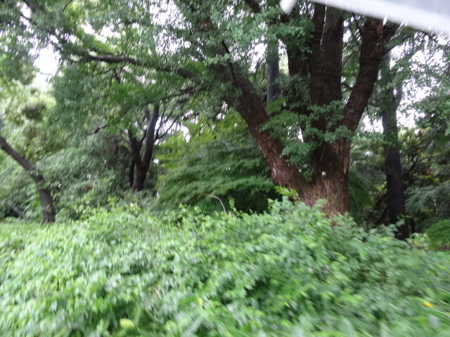 ログ ホライズン 舞台探訪 ヒパイストの探訪メモ ログ ホライズン 舞台探訪 ヒパイストの探訪メモ