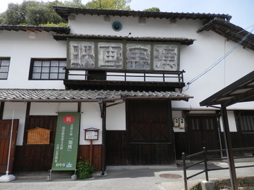 P5040191