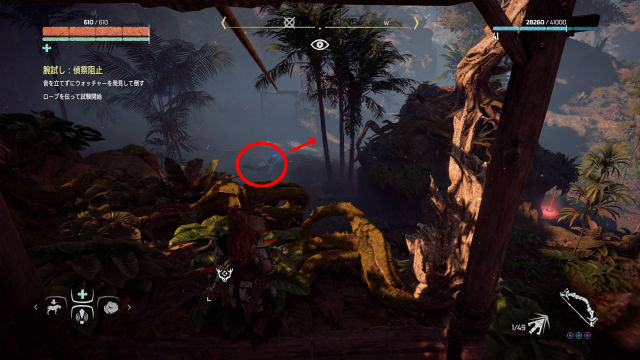 Horizon Zero Dawn 狩場 くしの岩壁 ちょっと強引なくらいが丁度イイ 金魚 飛び出し注意