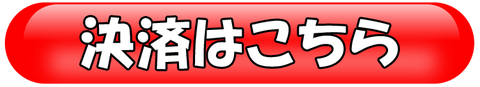 決済はこちら(ボタン)