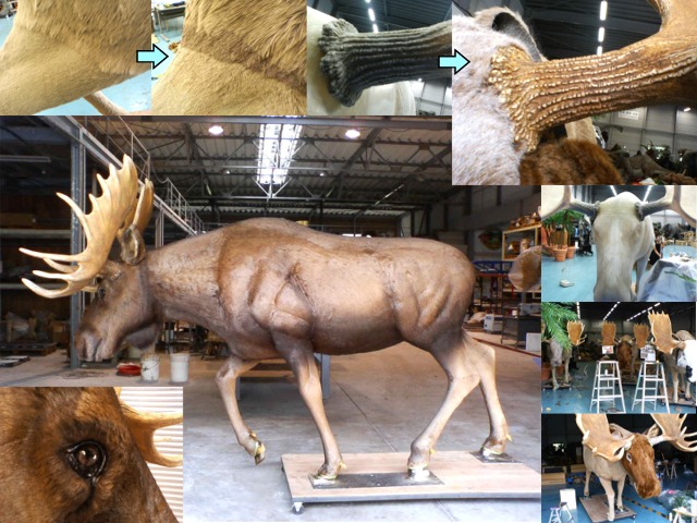 造形の仕事まとめ ヒラマの形log