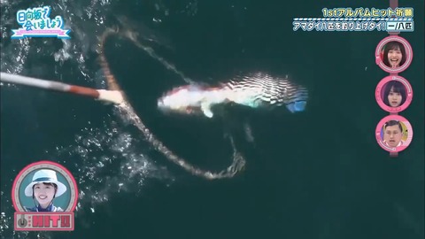 27.flv_snapshot_12.11.265