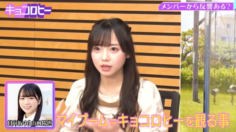 1.flv_snapshot_03.56.331