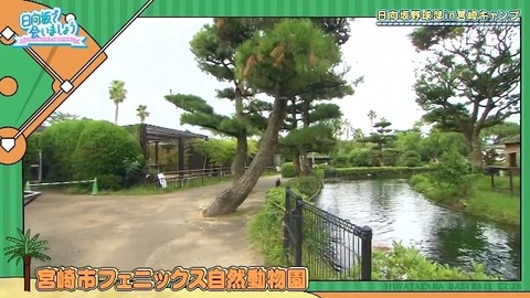 bandicam 2019-10-28 01-05-56-886.mp4_snapshot_01.31.384