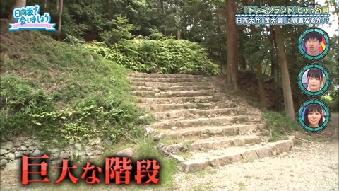 日向坂46 オードリー .mp4_snapshot_17.04.020