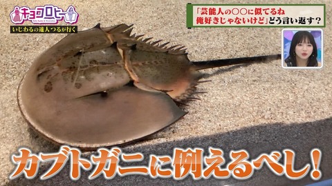 799719361-1-80.flv_snapshot_08.52.996