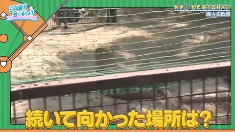 bandicam 2019-10-28 01-05-56-886.mp4_snapshot_06.58.716