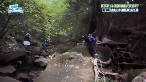1216438877-1-30077.mp4_snapshot_19.40.626