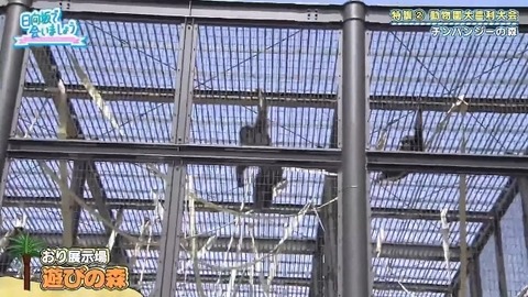 bandicam 2019-10-28 01-05-56-886.mp4_snapshot_08.09.282