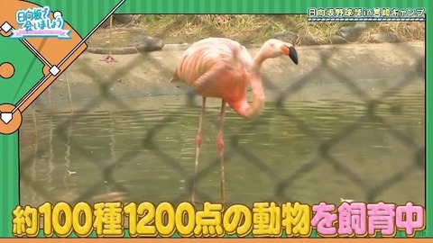 bandicam 2019-10-28 01-05-56-886.mp4_snapshot_01.35.656