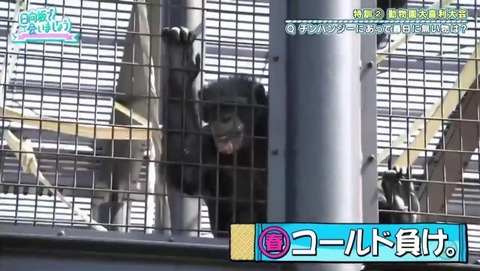 videoplayback_1.mp4_snapshot_14.41.126