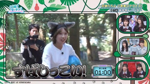 080402.mp4_snapshot_01.13.988