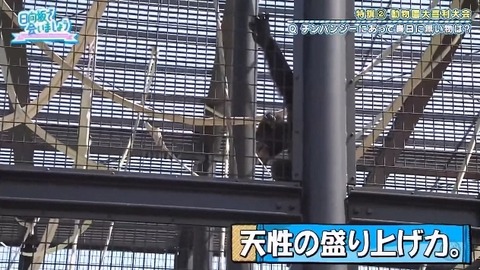 bandicam 2019-10-28 01-05-56-886.mp4_snapshot_09.01.605