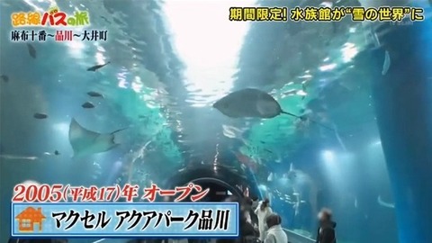 bandicam 2026-02-08 15-37-05-469.avi_snapshot_09.11.115