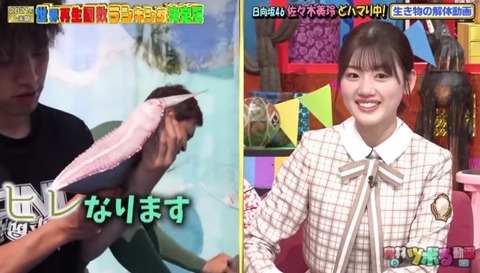 bandicam 2021-06-16 20-54-21-523.avi_snapshot_04.20.995