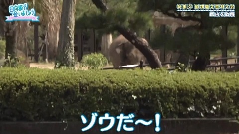 bandicam 2019-10-28 01-05-56-886.mp4_snapshot_04.49.434