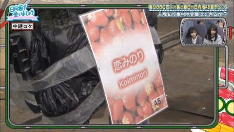 12.mp4_snapshot_20.37.070