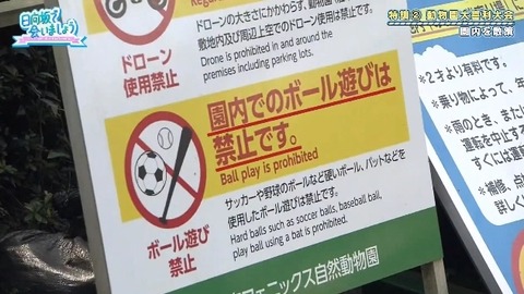 bandicam 2019-10-28 01-05-56-886.mp4_snapshot_04.26.542