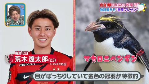 sdafaf.mp4_snapshot_07.26.447