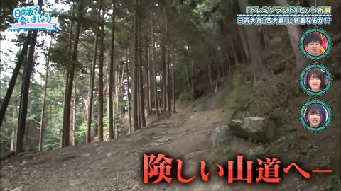 日向坂46 オードリー .mp4_snapshot_17.34.343