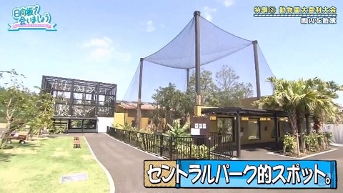 bandicam 2019-10-28 01-05-56-886.mp4_snapshot_07.05.459