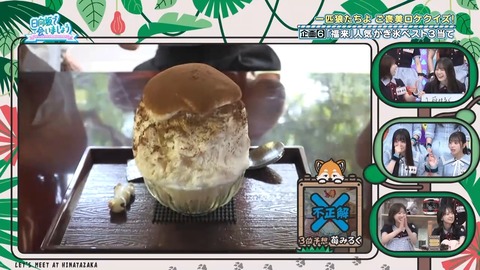 080402.mp4_snapshot_06.12.244