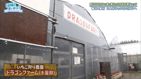 12.mp4_snapshot_16.03.962