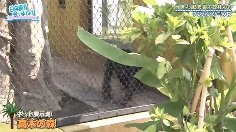 bandicam 2019-10-28 01-05-56-886.mp4_snapshot_07.23.766