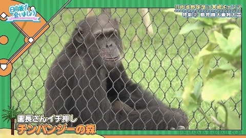 bandicam 2019-10-28 01-05-56-886.mp4_snapshot_07.21.713