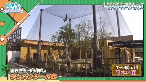 bandicam 2019-10-28 01-05-56-886.mp4_snapshot_07.16.707